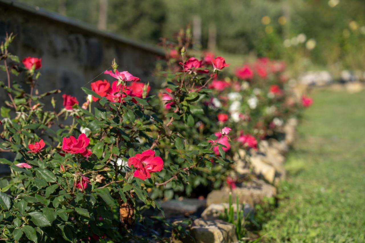 Agriturismo Montelovesco Brunetta Exteriér fotografie
